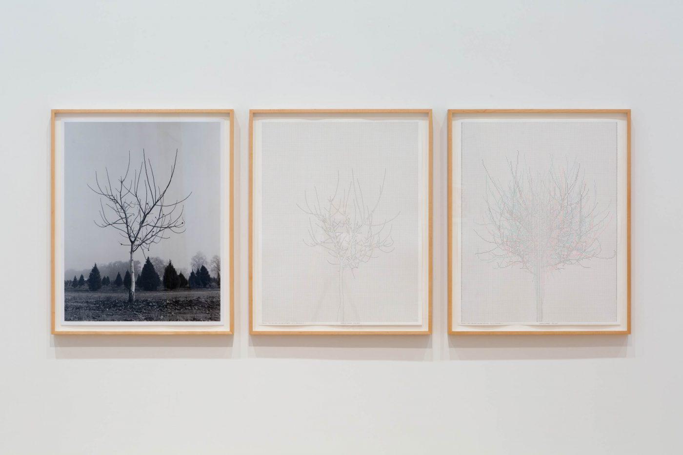 IM023744 003 e1498580359196